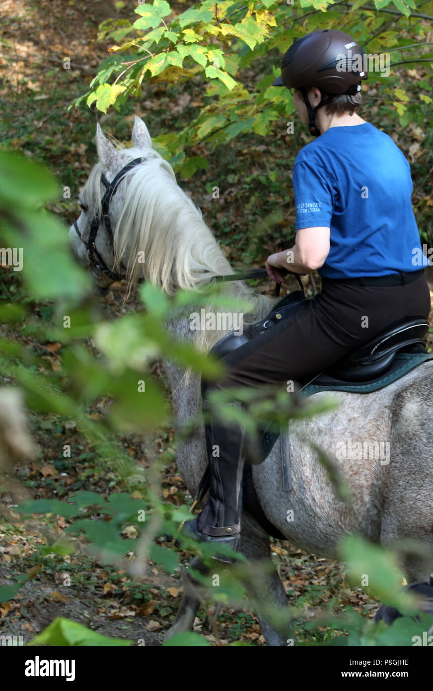 Zernikov, donna è cavalcare il suo cavallo nel passaggio attraverso una foresta Foto Stock