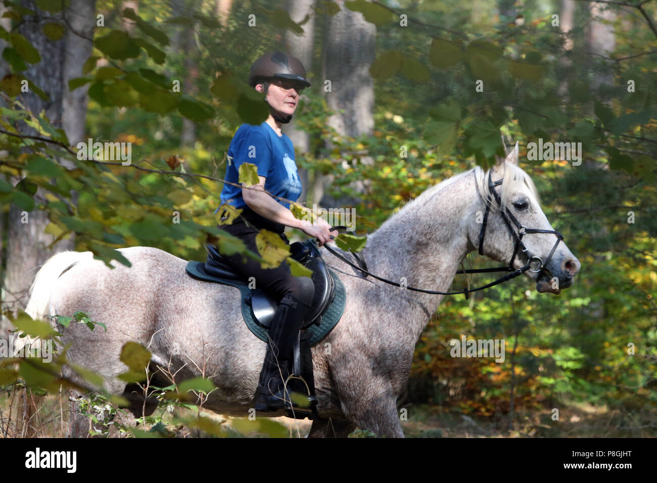 Zernikov, donna è cavalcare il suo cavallo nel passaggio attraverso una foresta Foto Stock