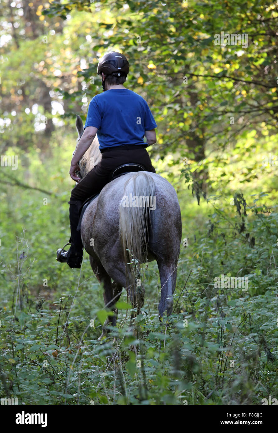 Zernikov, donna a cavallo di un trotter sul suo cavallo attraverso una foresta Foto Stock