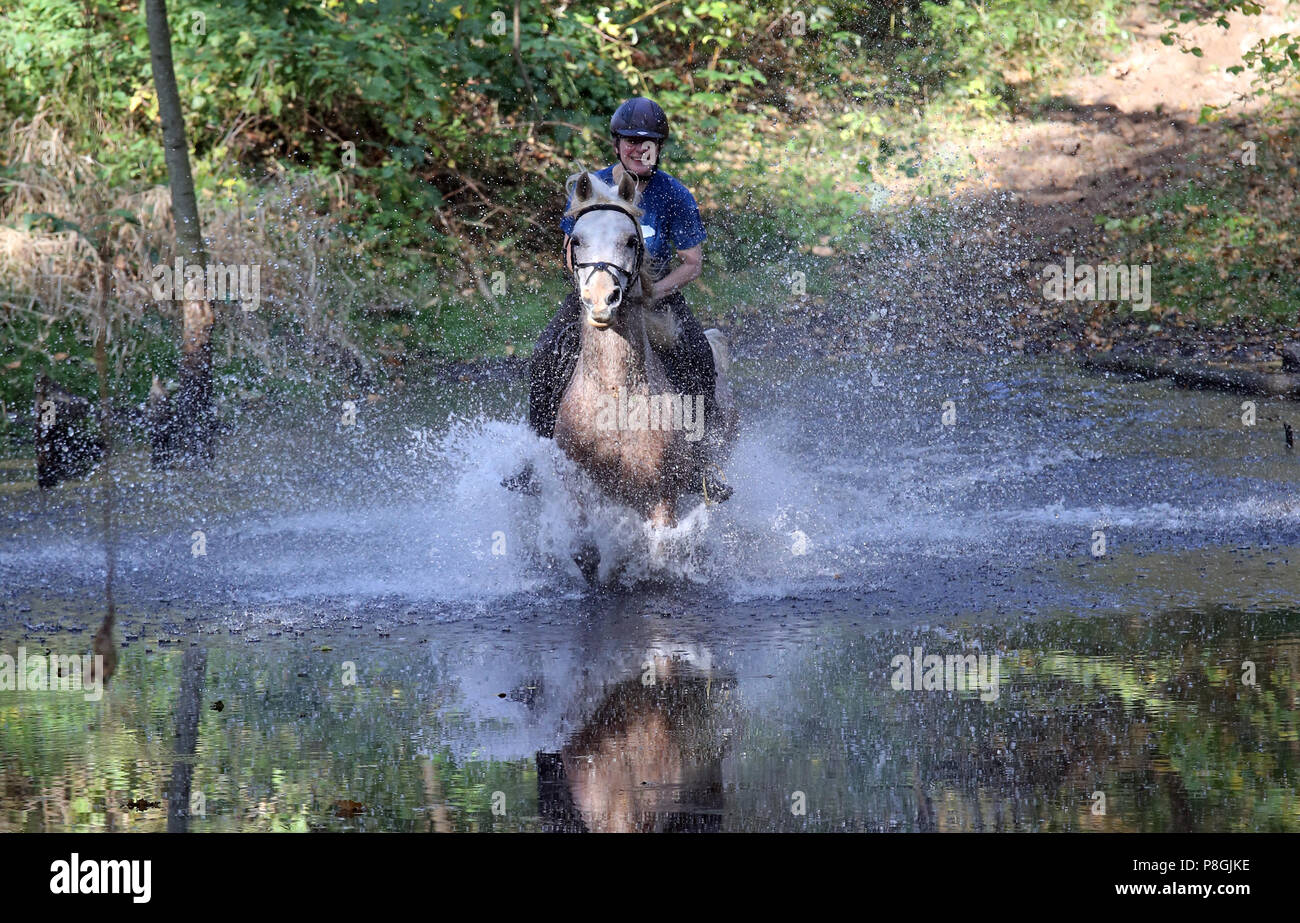 Zernikov, donna in sella ad un cavallo al galoppo attraverso un lago Foto Stock
