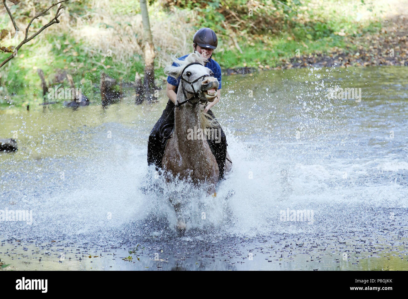 Zernikov, donna in sella ad un cavallo al galoppo attraverso un lago Foto Stock