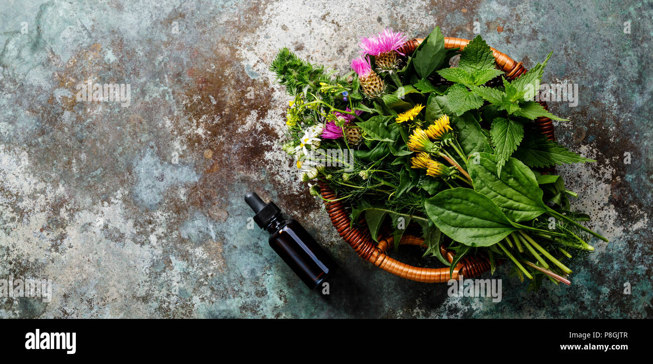 Prato e erbe medicinali a base di erbe e tintura per pulire mangiare biohackers paleo dieta spazio di copia Foto Stock