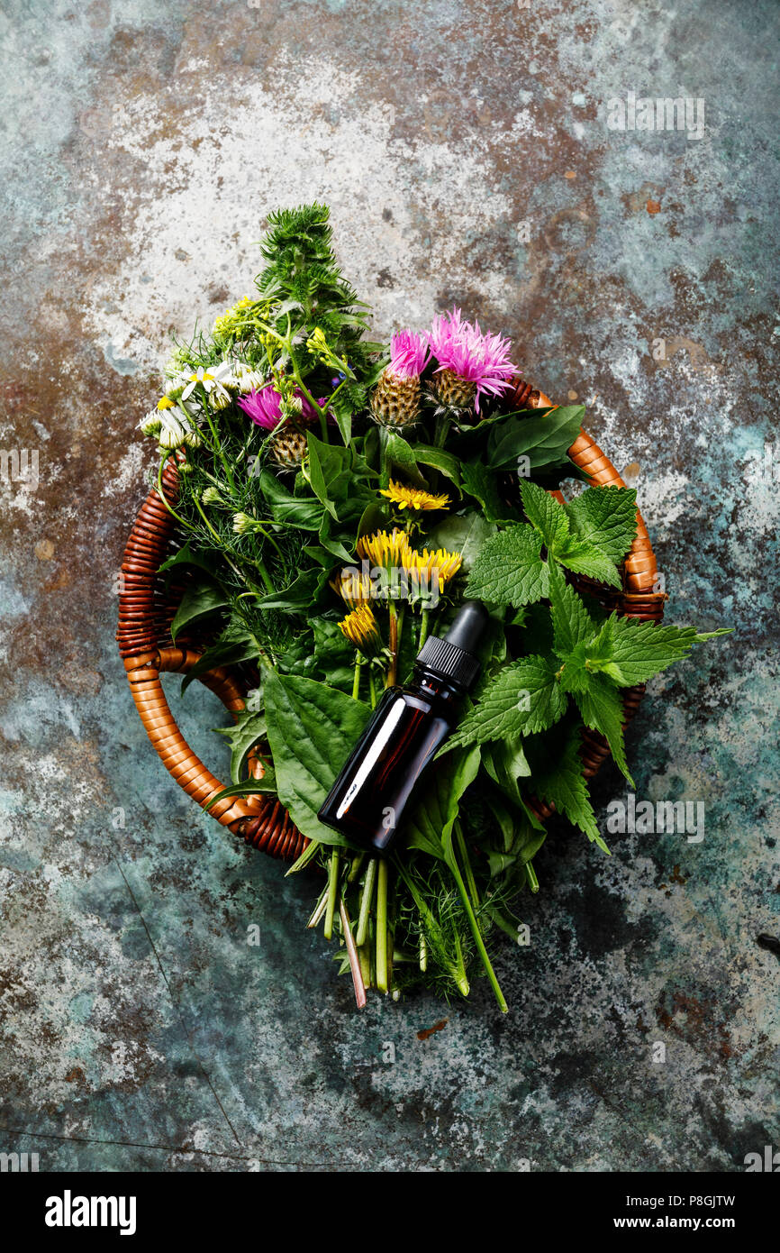Prato e erbe medicinali a base di erbe e tintura per pulire mangiare biohackers paleo dieta Foto Stock
