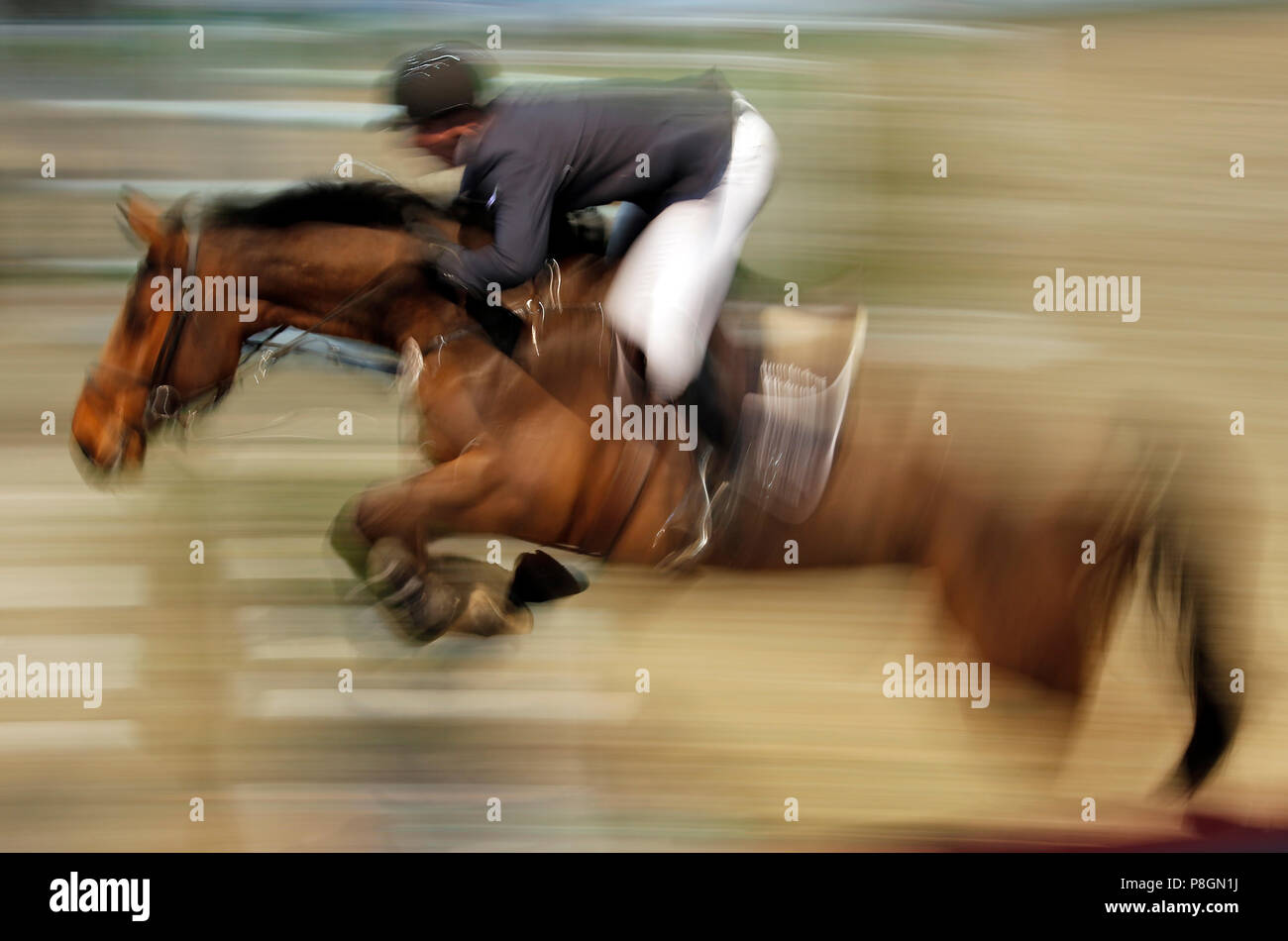 Neustadt (Dosse), dynamics, cavallo e cavaliere durante show jumping Foto Stock