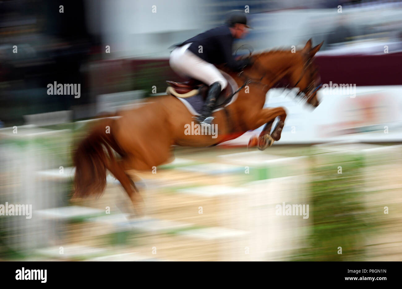 Neustadt (Dosse), dynamics, cavallo e cavaliere durante show jumping Foto Stock