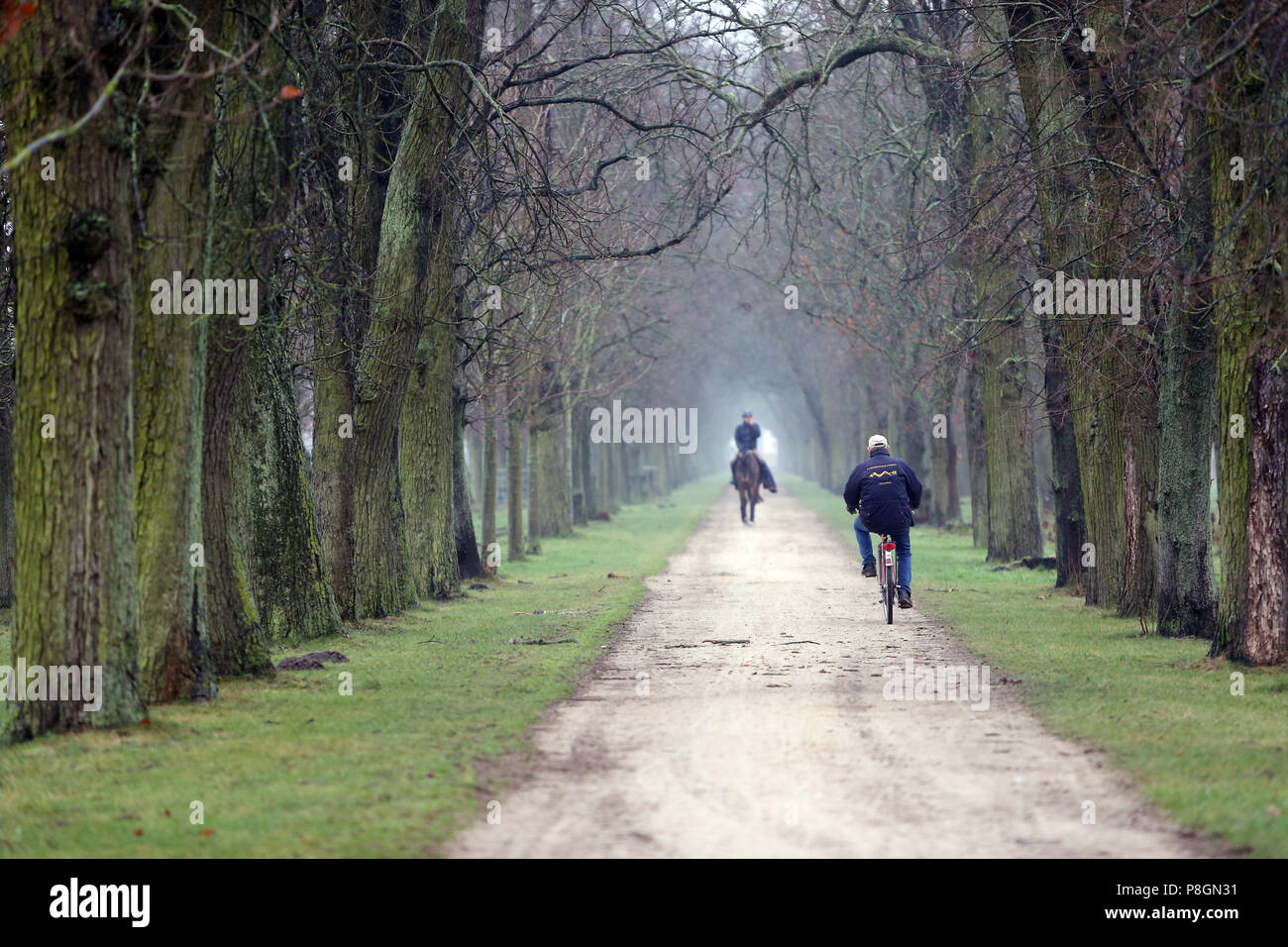 Neustadt (Dosse), pilota su un giro su un viale Foto Stock