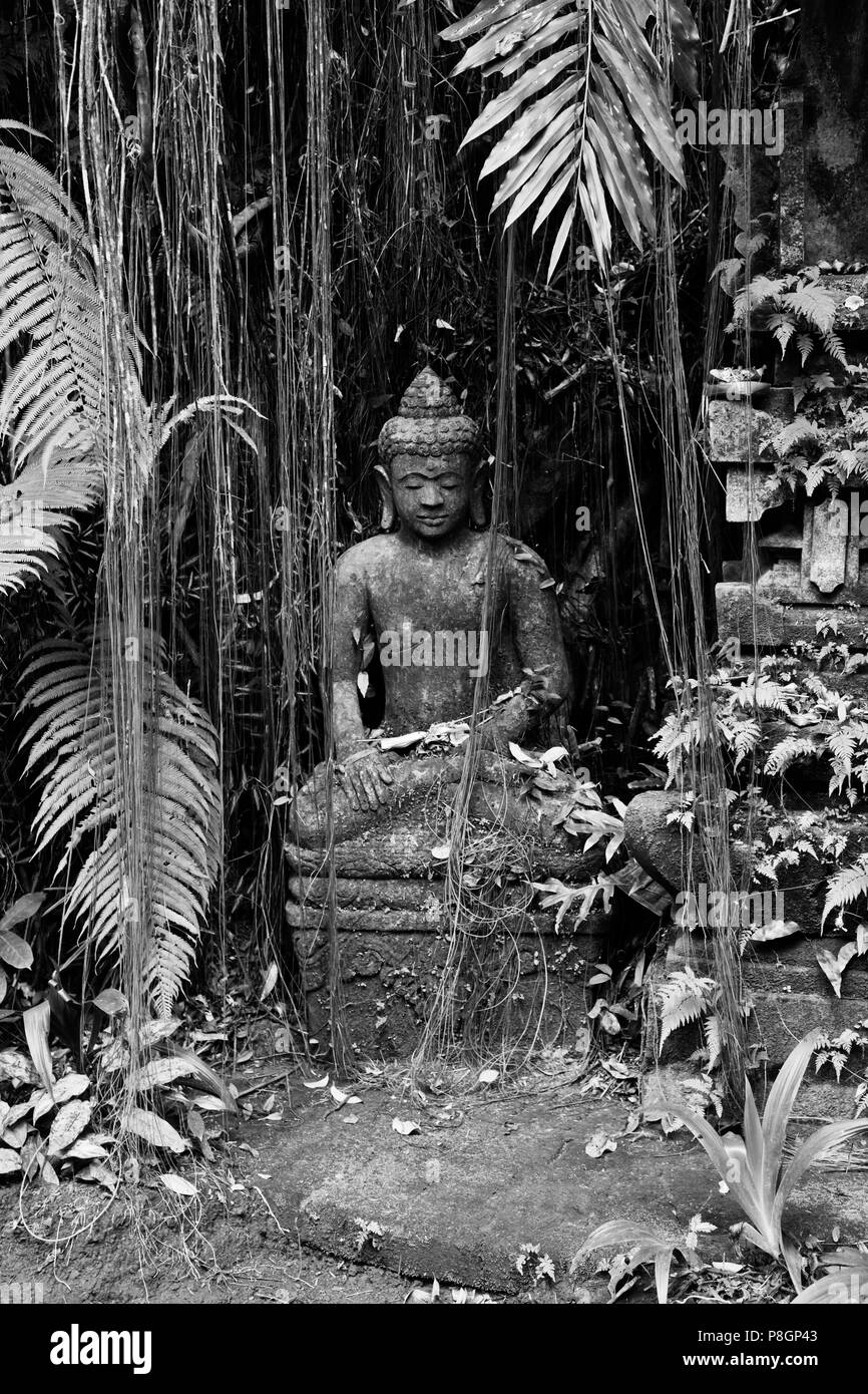 Stone carve statua del Buddha in meditazione corte presso il giardino botanico di Ubud - Bali, Indonesia Foto Stock