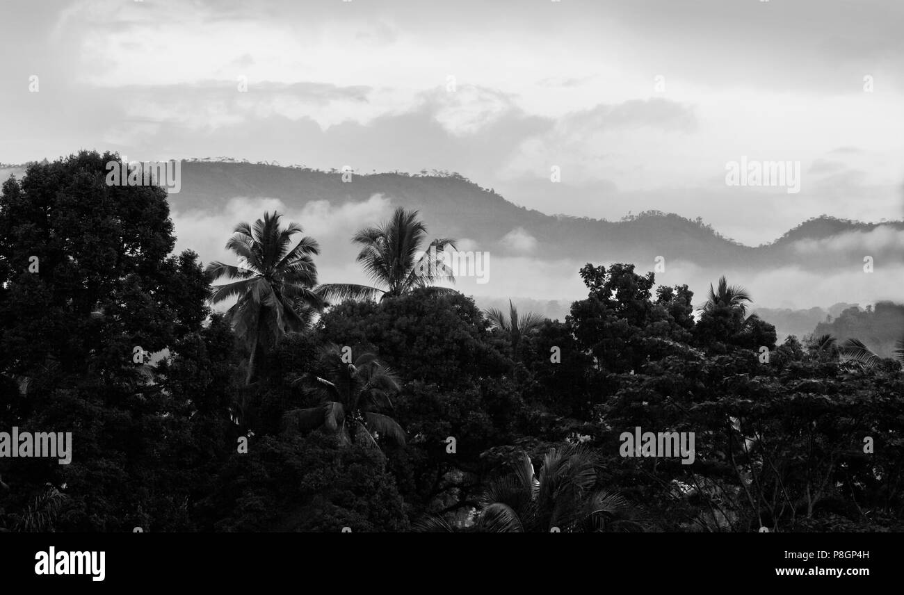 Le boscose pendici del sacro Gunung Agung le isole più alto picco vulcanico - Bali, Indonesia Foto Stock