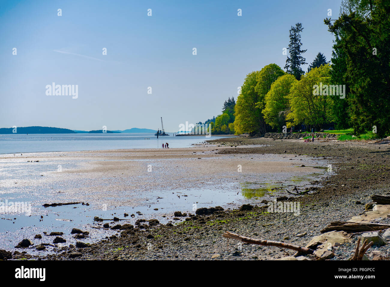 Vista della spiaggia di molla di sale isola durante l'estate, British Columbia, Canada Foto Stock