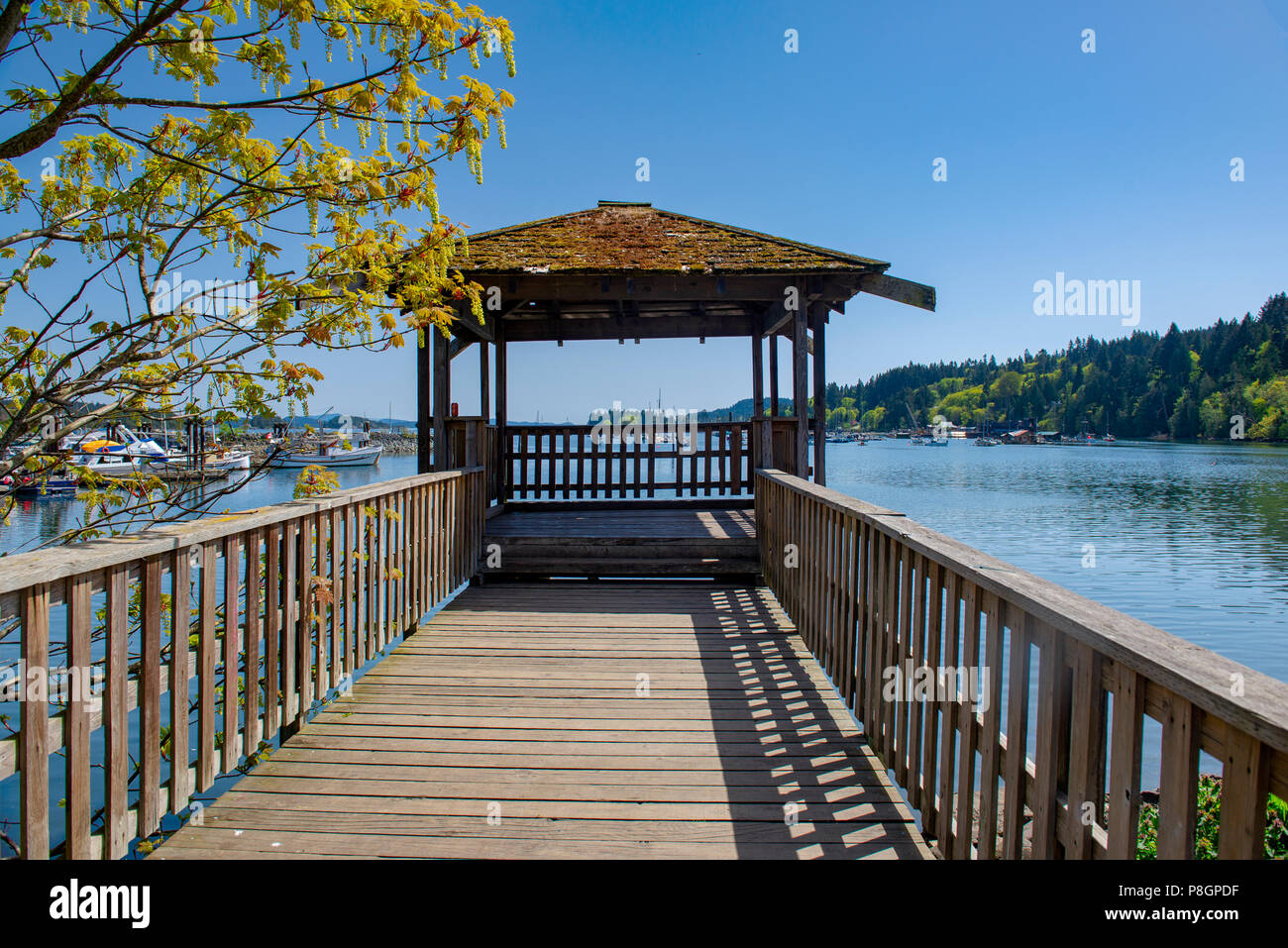 Vista della passerella di legno a Centennial Park in Salt Spring Island, Calumbia britannica, Canada Foto Stock