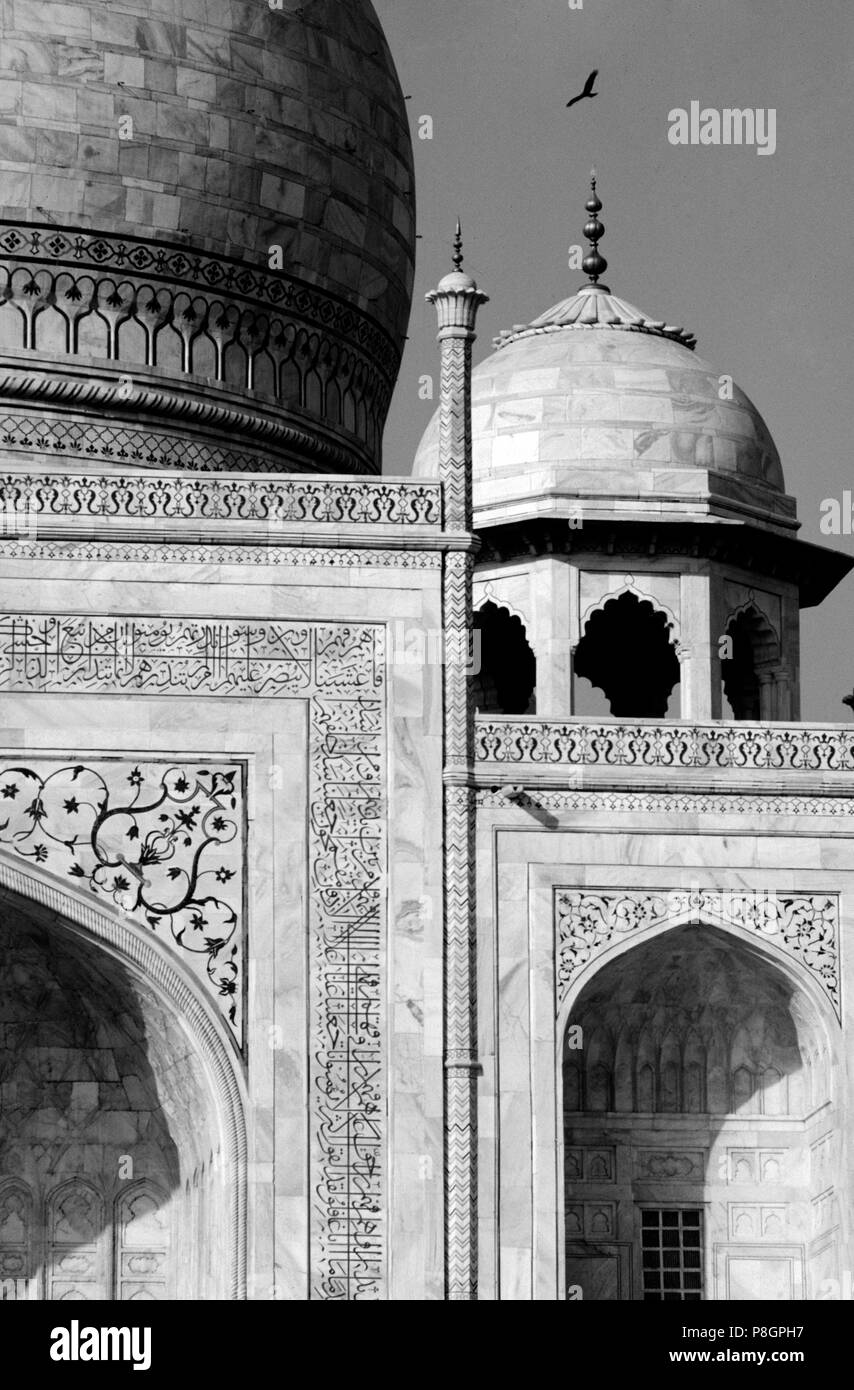 Dettaglio di piccole cupole del Taj Mahal, costruita dall'imperatore Shahjahan per sua moglie nel 1653 - AGRA, INDIA Foto Stock
