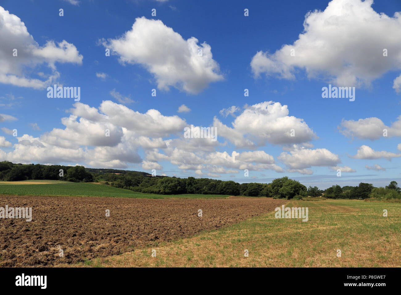 Nuvole bianche in un cielo blu sopra i campi agricoli del fiume Valle Douglas in Lancashire Foto Stock
