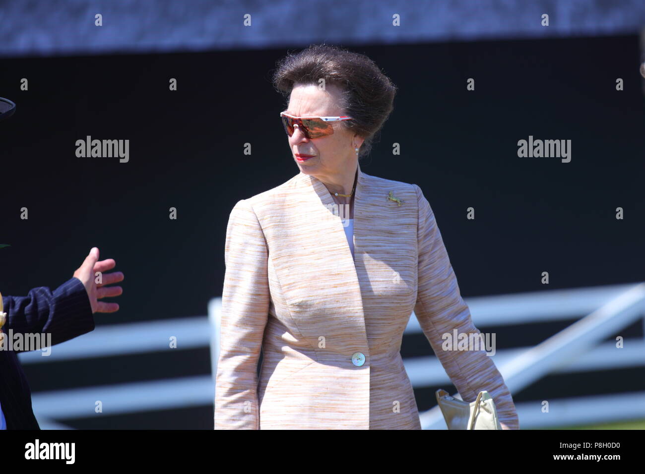 Harrogate, Regno Unito. 11 Luglio, 2018. Princess Anne frequentando il centosessantesimo grande Yorkshire mostrano in Harrogate Credito: Yorkshire Pics/Alamy Live News Foto Stock