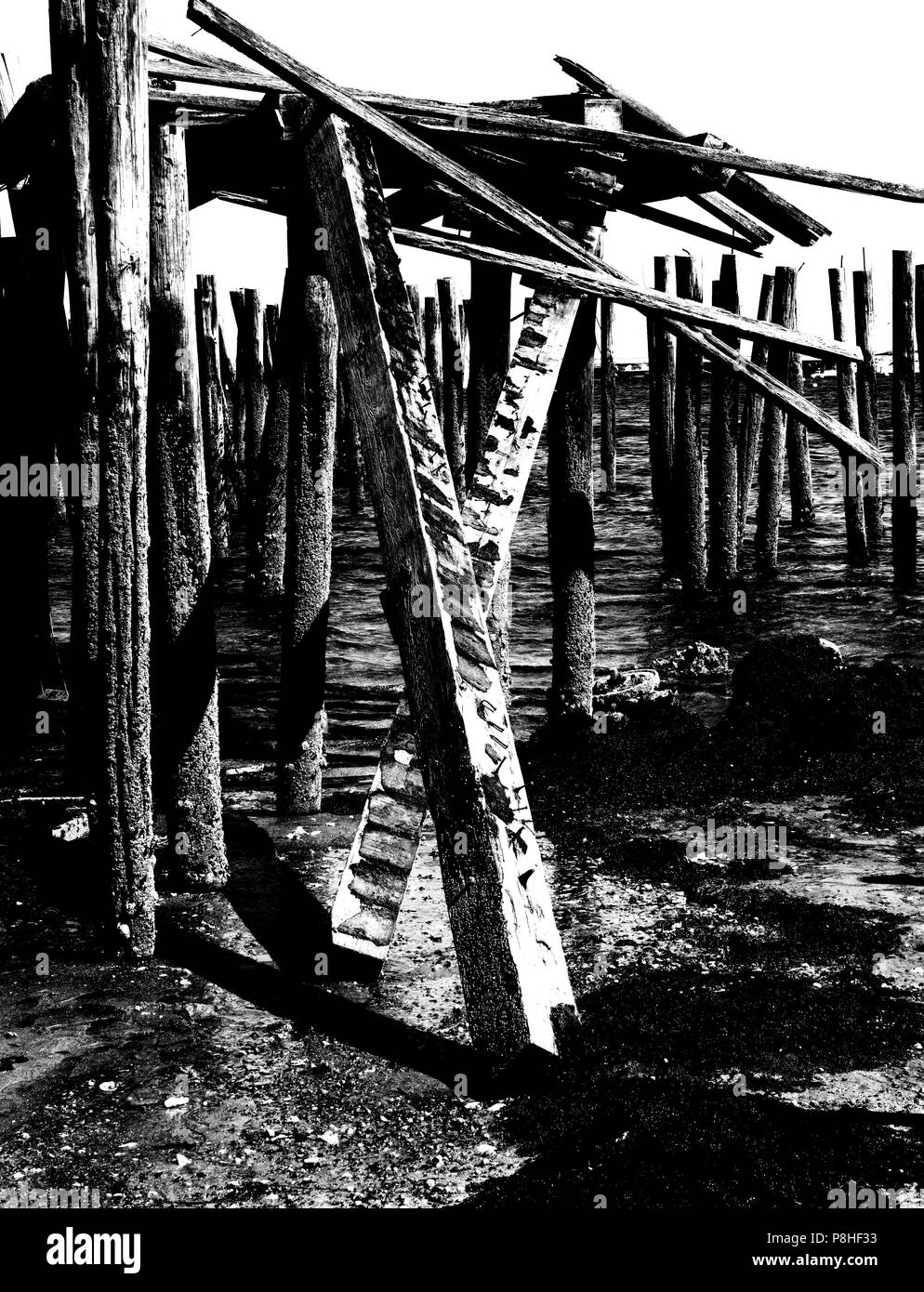 Un contrasto elevato e nero durante il rendering di palificazioni da un molo abbandonato a Provincetown in Massachusetts su Cape Cod, STATI UNITI D'AMERICA Foto Stock