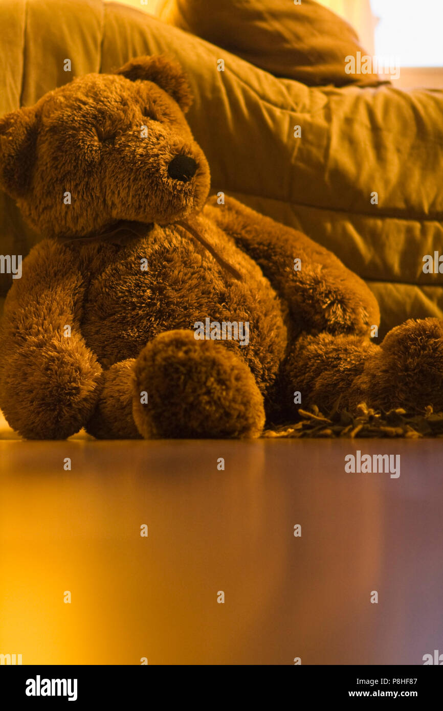 Orsacchiotto di peluche sul pavimento Foto Stock