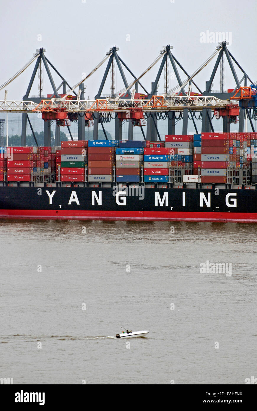 Ein Container-Frachter der Reederei Yang Ming liegt am Hamburger Container-Terminal EUROGATE und wird bedient. Foto Stock