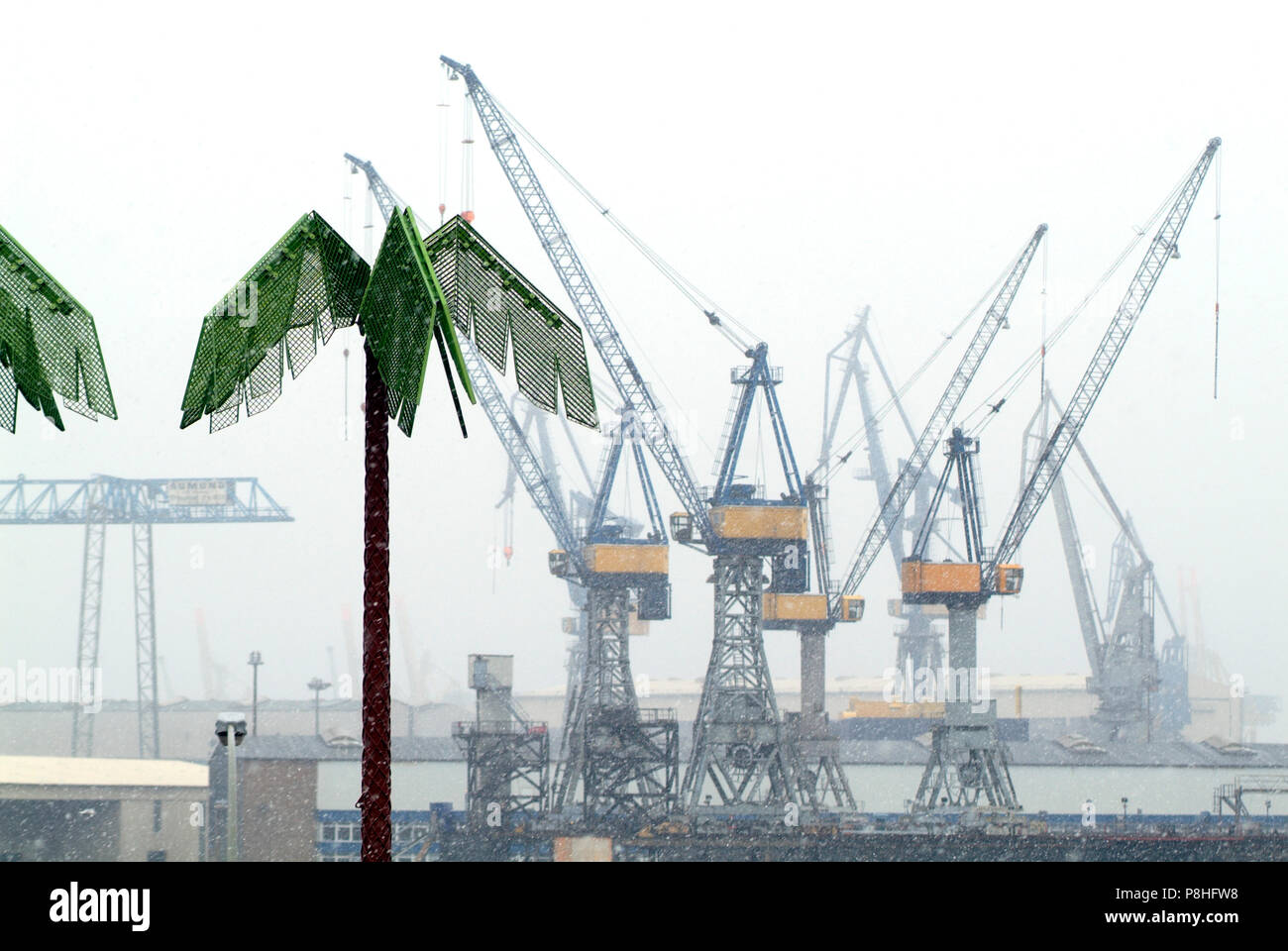 Blick vom Hamburger Pinnasberg auf den Hafen und die Kräne der Werft Blohm und Voss. Im Vordergrund künstliche Palmen. Schlechtes Wetter. Foto Stock