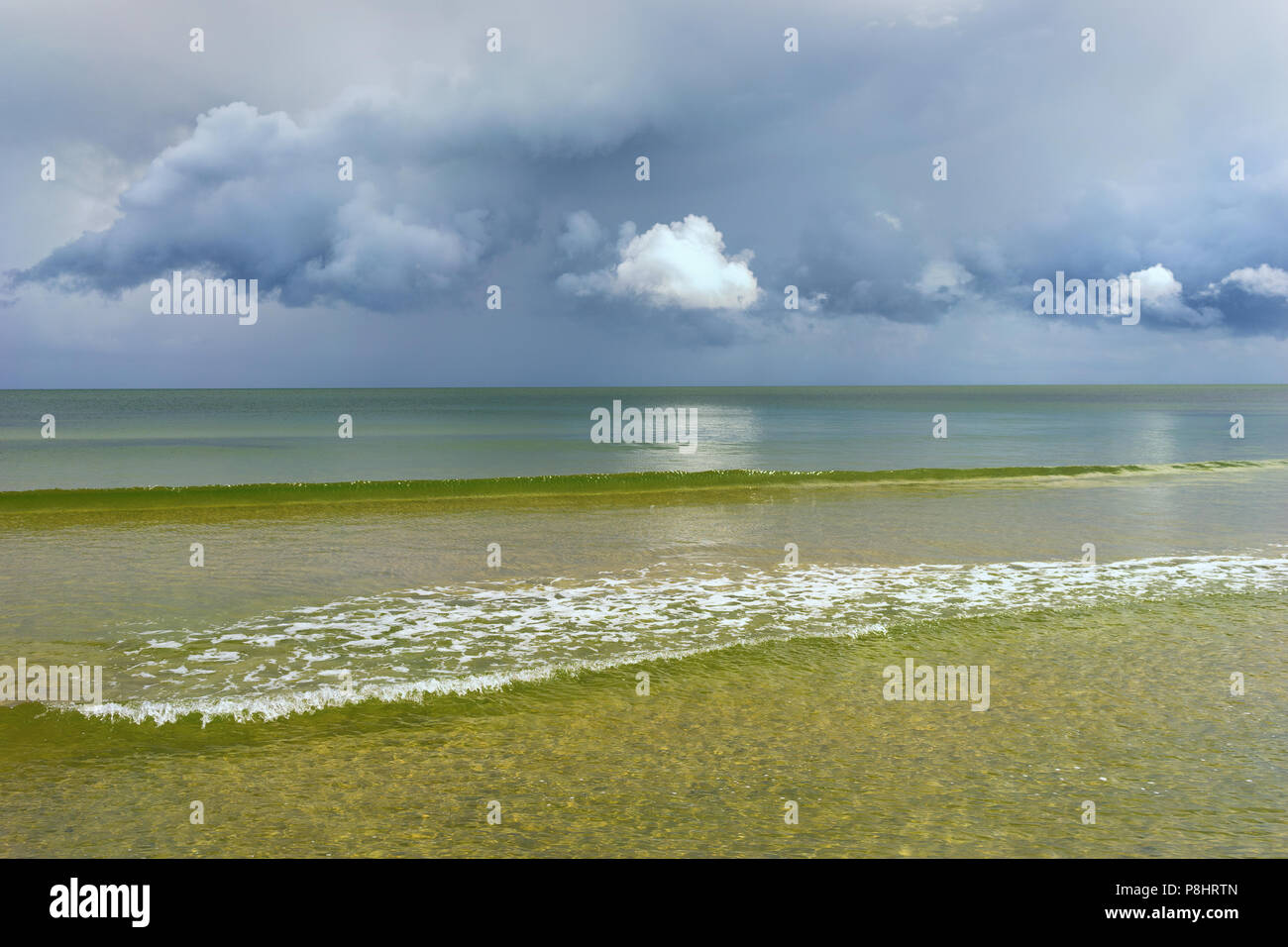 Bellissimo il bianco delle nuvole nel cielo blu scuro sopra il verde acqua del Mar Baltico prima della pioggia Foto Stock