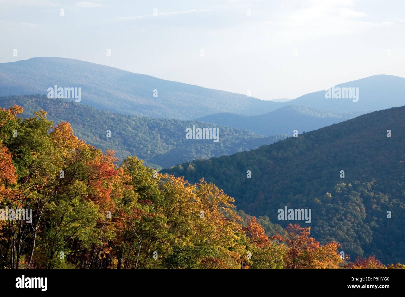 Una vista attraverso la Appalacian cime di montagna in autunno lungo la Skyline Drive in Virginia. Foto Stock