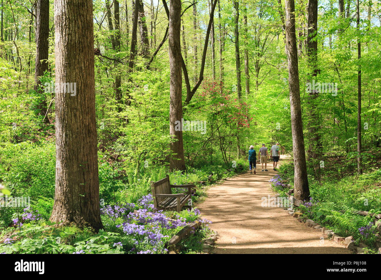 Un gruppo di visitatori di Carolina del Sud Giardino Botanico, Clemson, South Carolina, STATI UNITI D'AMERICA Foto Stock