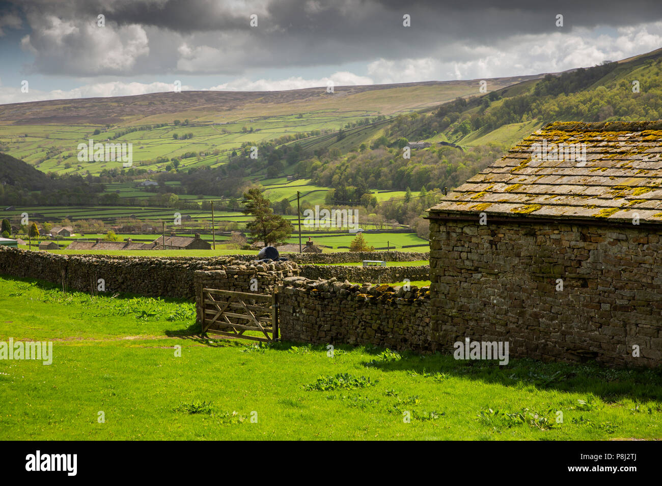 Regno Unito, Inghilterra, Yorkshire, Swaledale, Dyke teste, villaggio Gunnerside dalla strada sottostante Gunnerside pascolo Foto Stock