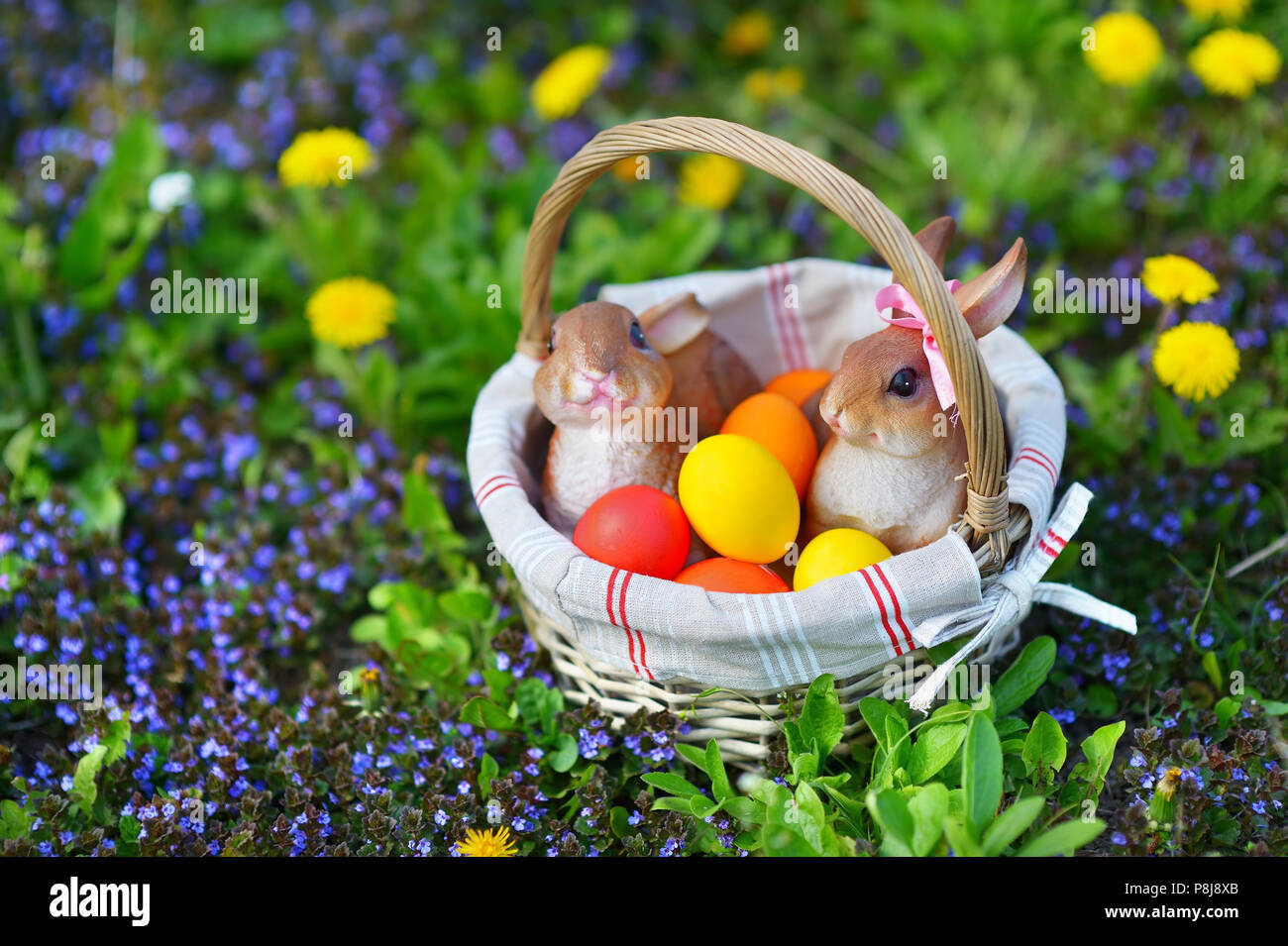 Colorate le uova di pasqua in un cesto su un prato con due coniglietti Foto Stock