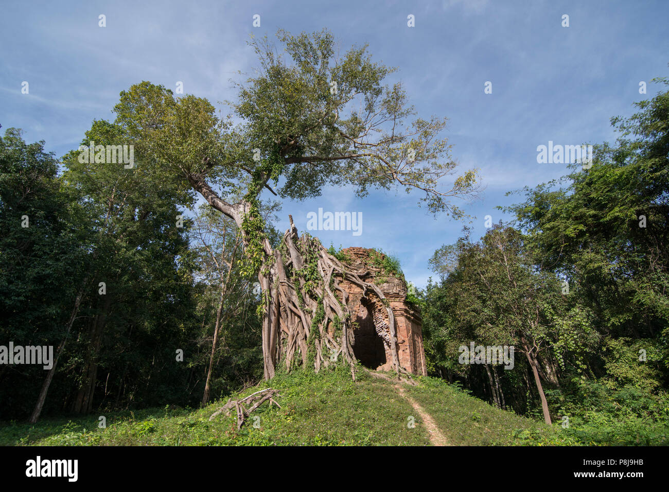 Le rovine khmer di Sambor Prei Kuk rovine a nord della città di Kampong Thom della Cambogia. Cambogia, Kampong Thom, novembre 2017, Foto Stock