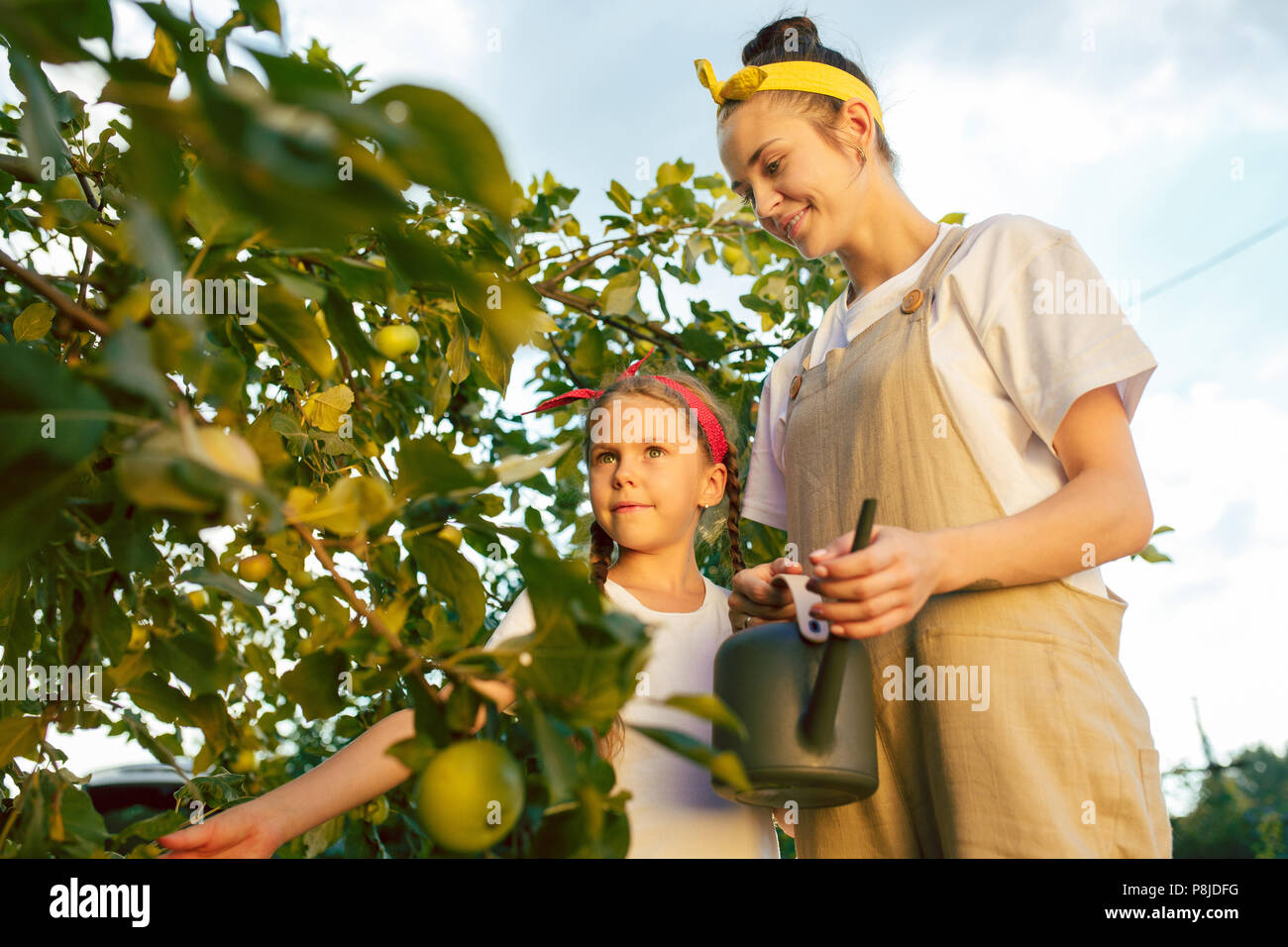 La felice famiglia giovane durante la raccolta di mele in un giardino all'aperto Foto Stock