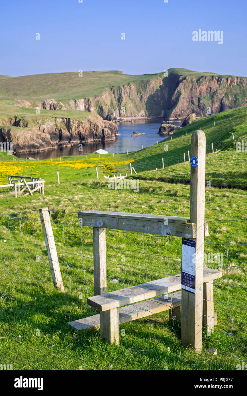 Stile in legno incrocio sulla staccionata lungo la spettacolare costa con scogliere sul mare e pile a Westerwick, Continentale, le isole Shetland, Scotland, Regno Unito Foto Stock