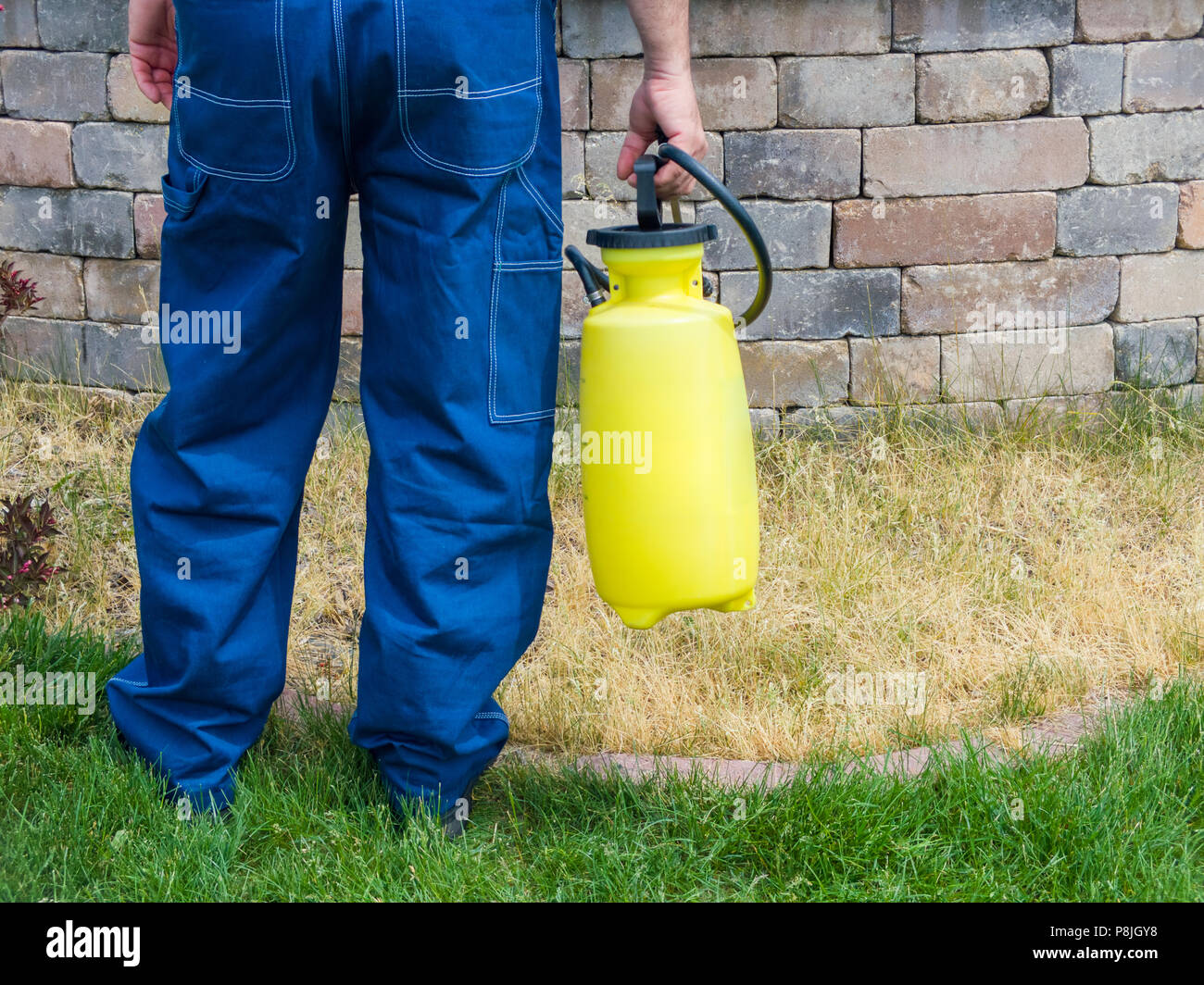 Uomo con una plastica gialla spruzzatore portatile pieno di erbacce come killer egli spruzza l'erba contro un muro prima di mulching in primavera Foto Stock