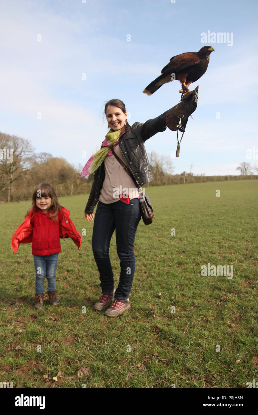 Persone su una falconeria a piedi con un falco di Harris Foto Stock