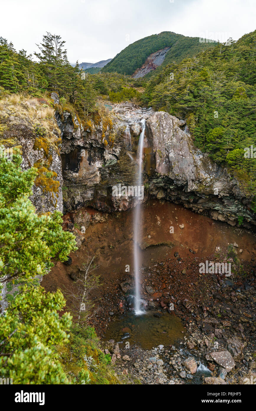 L'acqua cade nella foresta, mangawhero cade, tongariro, Nuova Zelanda Foto Stock