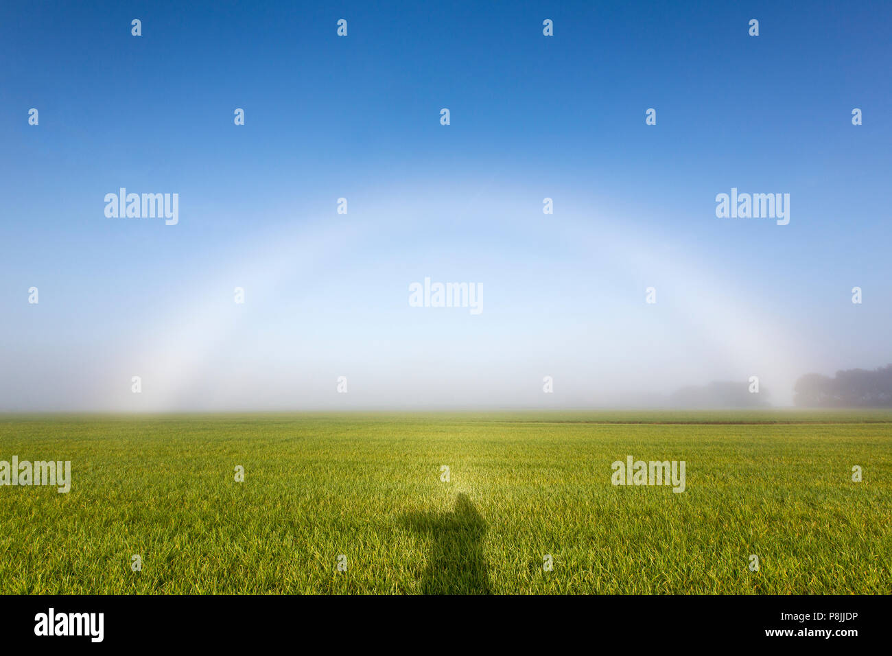 Fogbow e Heiligenschein Foto Stock