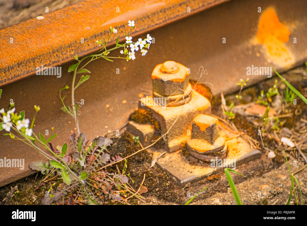 Rotaie fuori ordine con fiori Foto Stock