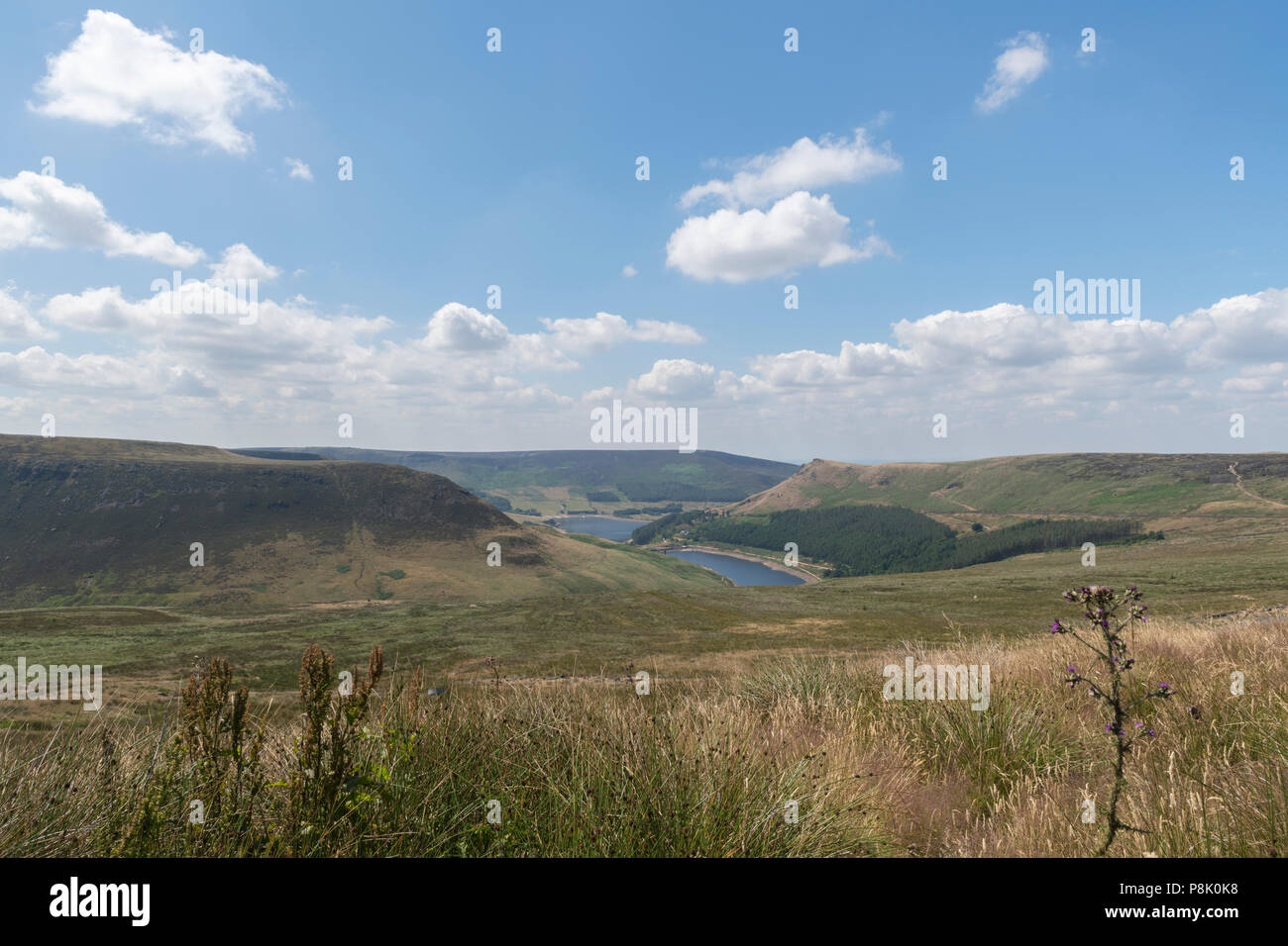 Dovestone parco nazionale nel mezzo di un secco tinder Saddleworth moor Foto Stock