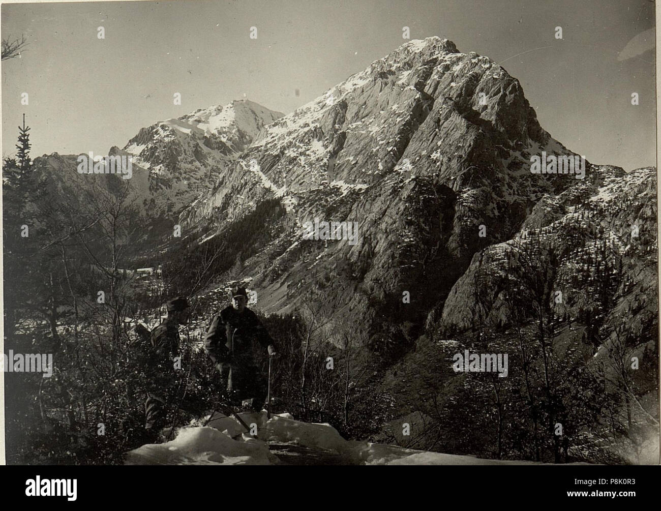 548 Südost Abstürze des Trögels und Rosskofls zur Prihatisch-Alm. Standpunkt, Schützengraben auf Lärchriegel (1557) (BildID 15467035) Foto Stock