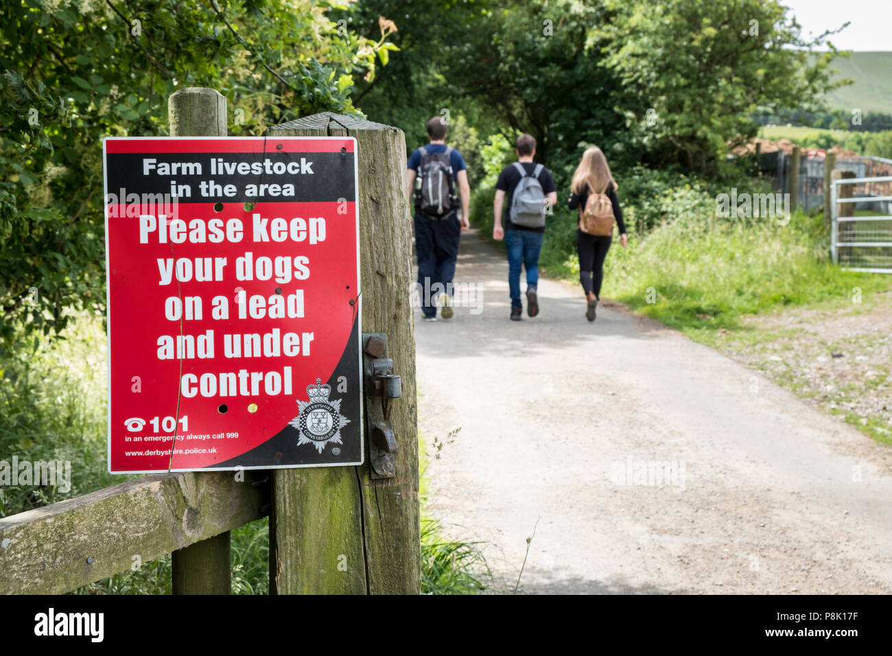 Bestiame d' allevamento segno. Avviso che richiede alle persone di "Si prega di tenere i vostri cani al guinzaglio e sotto controllo", Derbyshire, England, Regno Unito Foto Stock