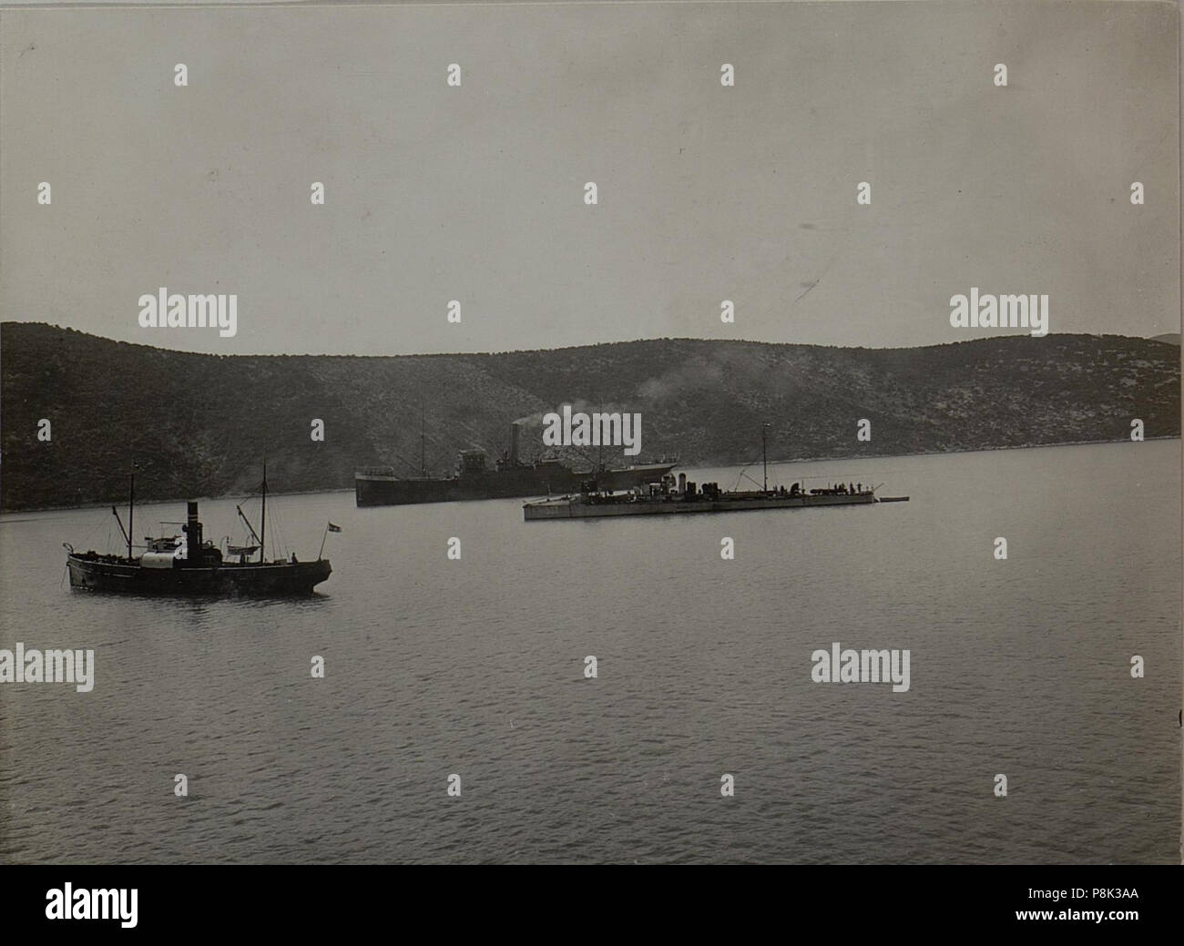 559 Torpedoboot. Neum, März 1916. (BildID 15454447) Foto Stock