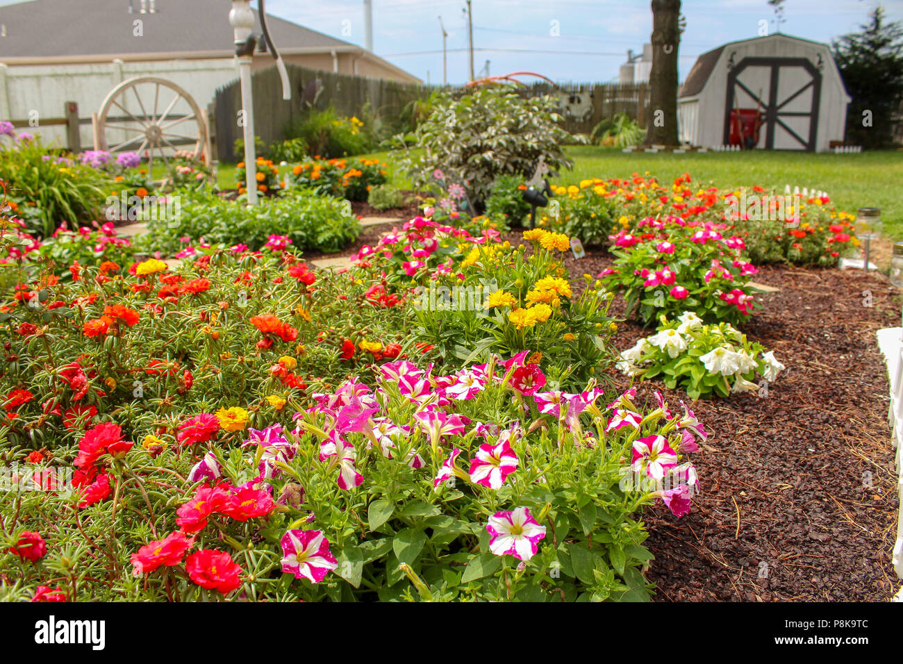 Un bellissimo giardino fiorito Foto Stock