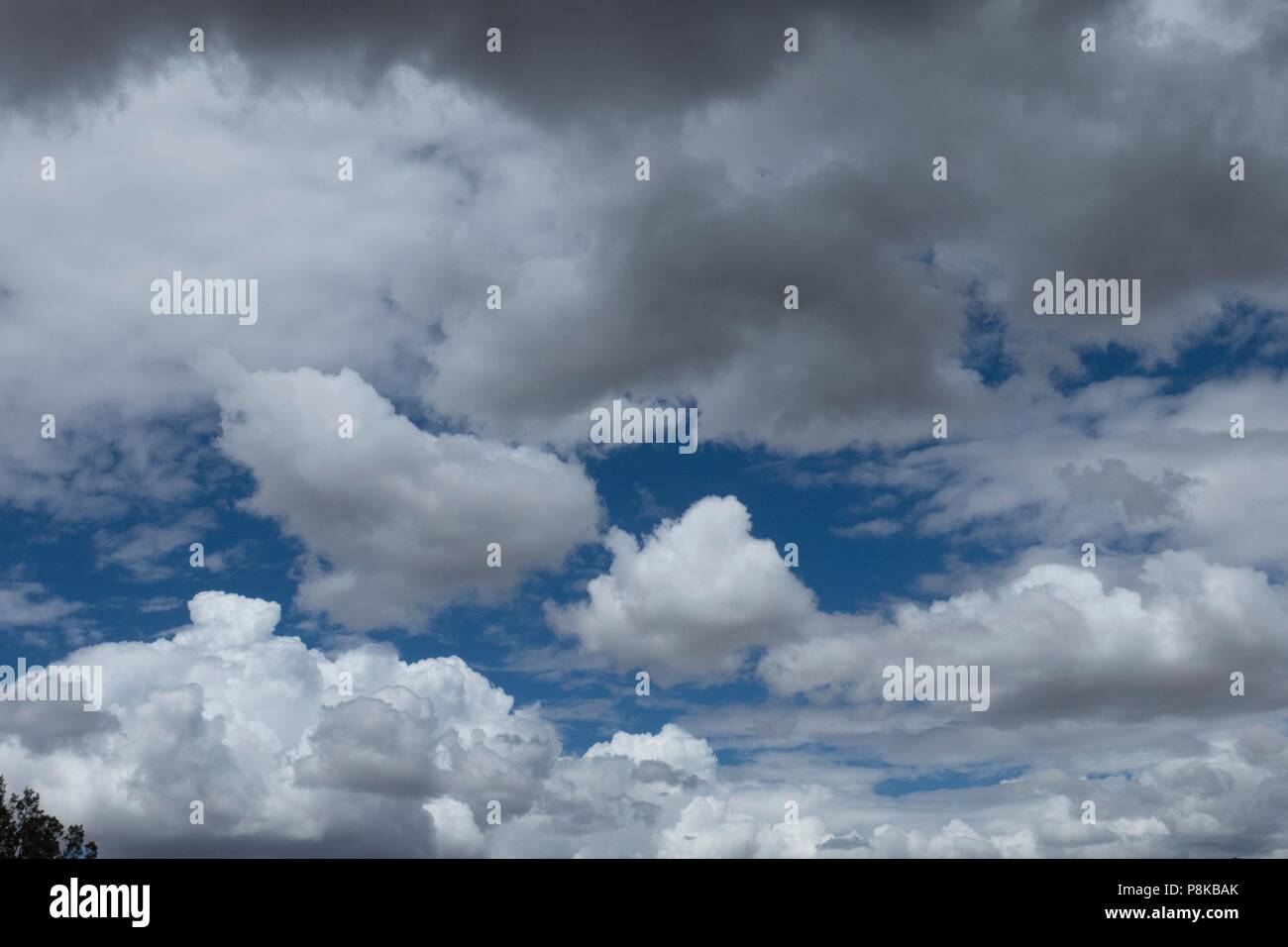 Cumulus nuvole contro un pulito, blu chiaro del Nuovo Messico cielo estivo Foto Stock