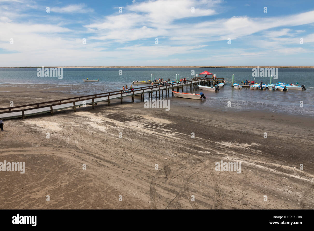 Bahia Magdalena, Baja California Foto Stock