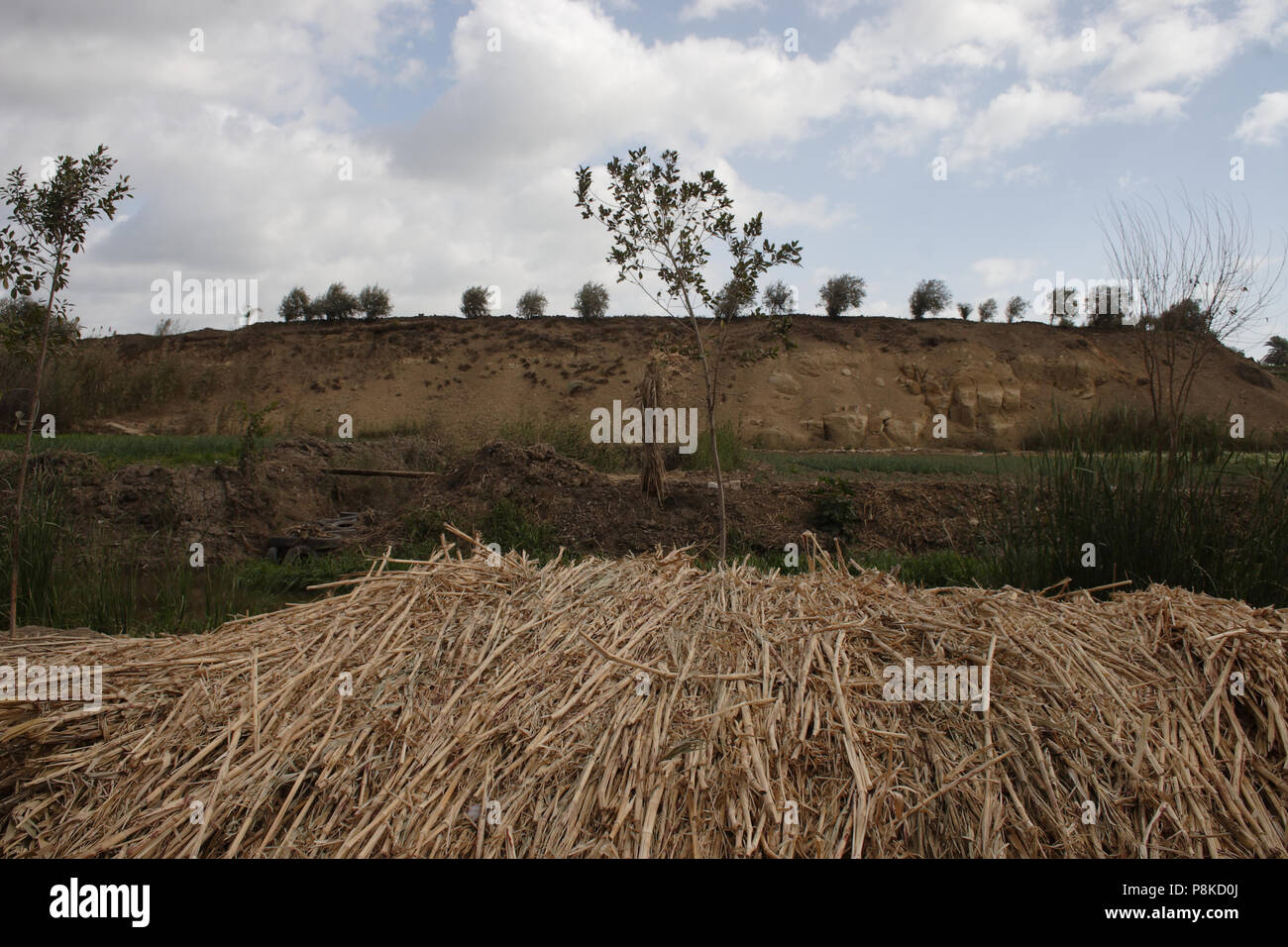 Erba e il paesaggio delle colline Foto Stock