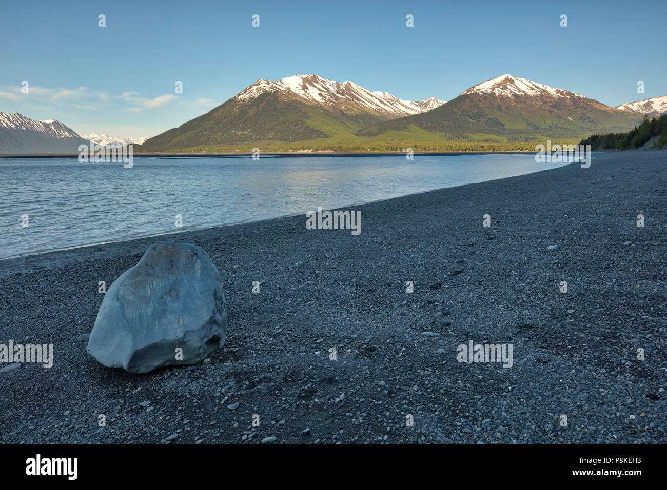Le piane di marea di Turnagain braccio vicino la speranza in Alaska centromeridionale. Foto Stock