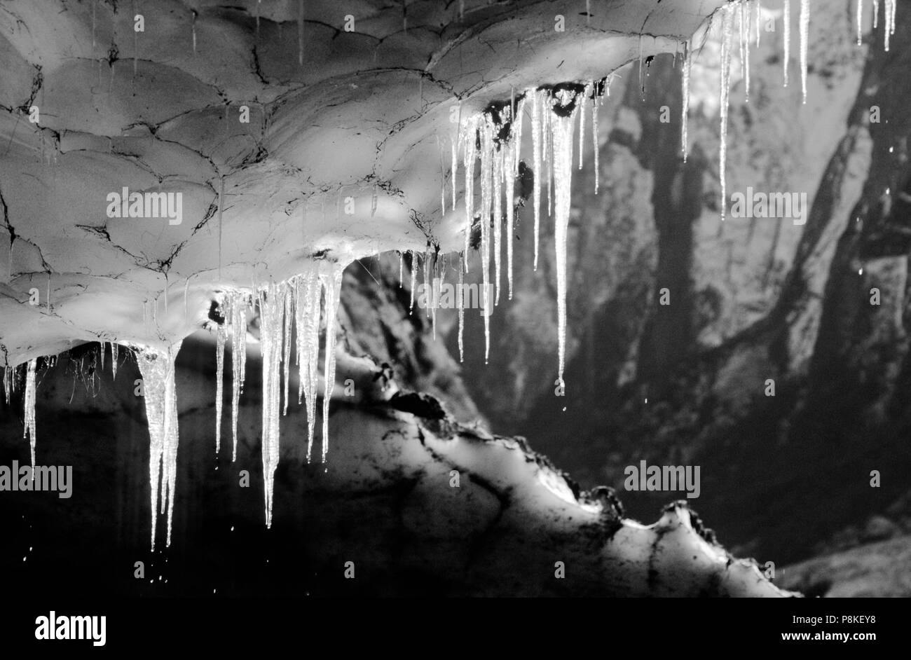 Il sole illumina il gocciolamento di acqua da ghiaccioli sul soffitto di una caverna di neve - Santuario di Annapurna, NEPAL Foto Stock