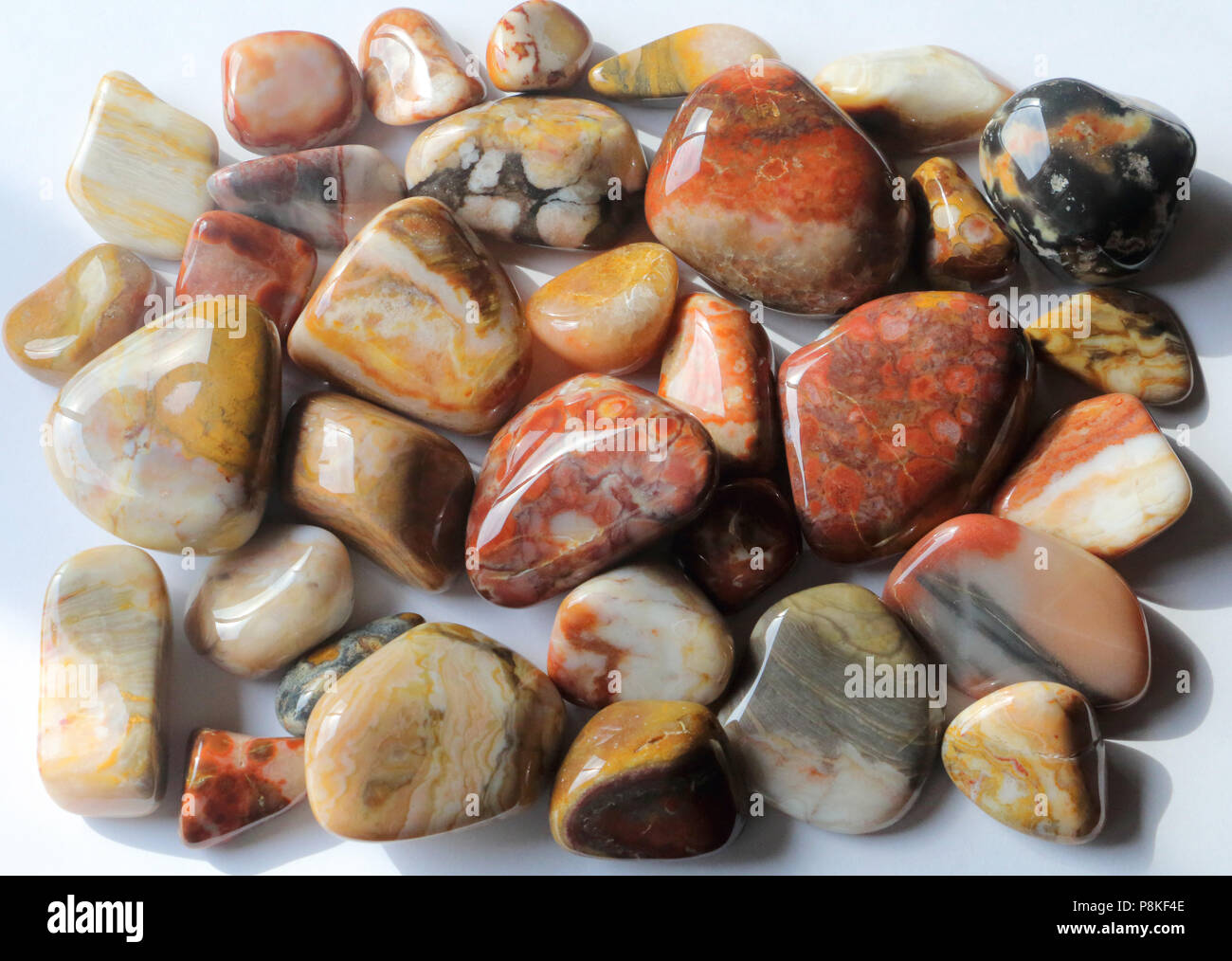 Gruppo di lucidato a Sud Dakota Agate e altre pietre, tutte dal Buffalo Gap National praterie. Foto Stock Gruppo di lucidato a Sud Dakota Agate e altre pietre, tutte dal Buffalo Gap National praterie. Foto Stock