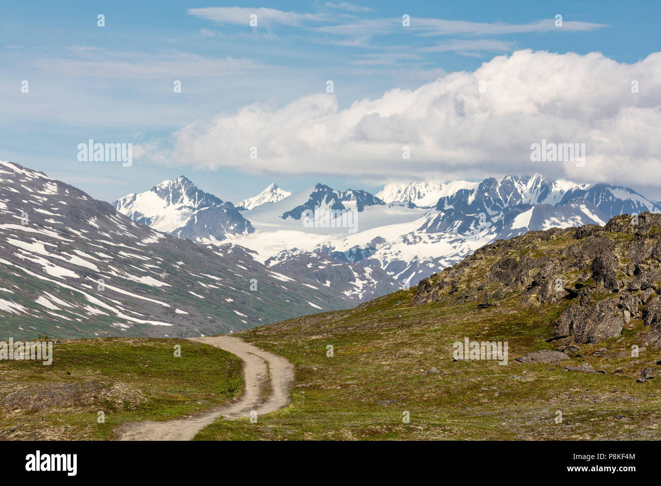 Fuoristrada trail a Thompson Pass centromeridionale in Alaska. Foto Stock