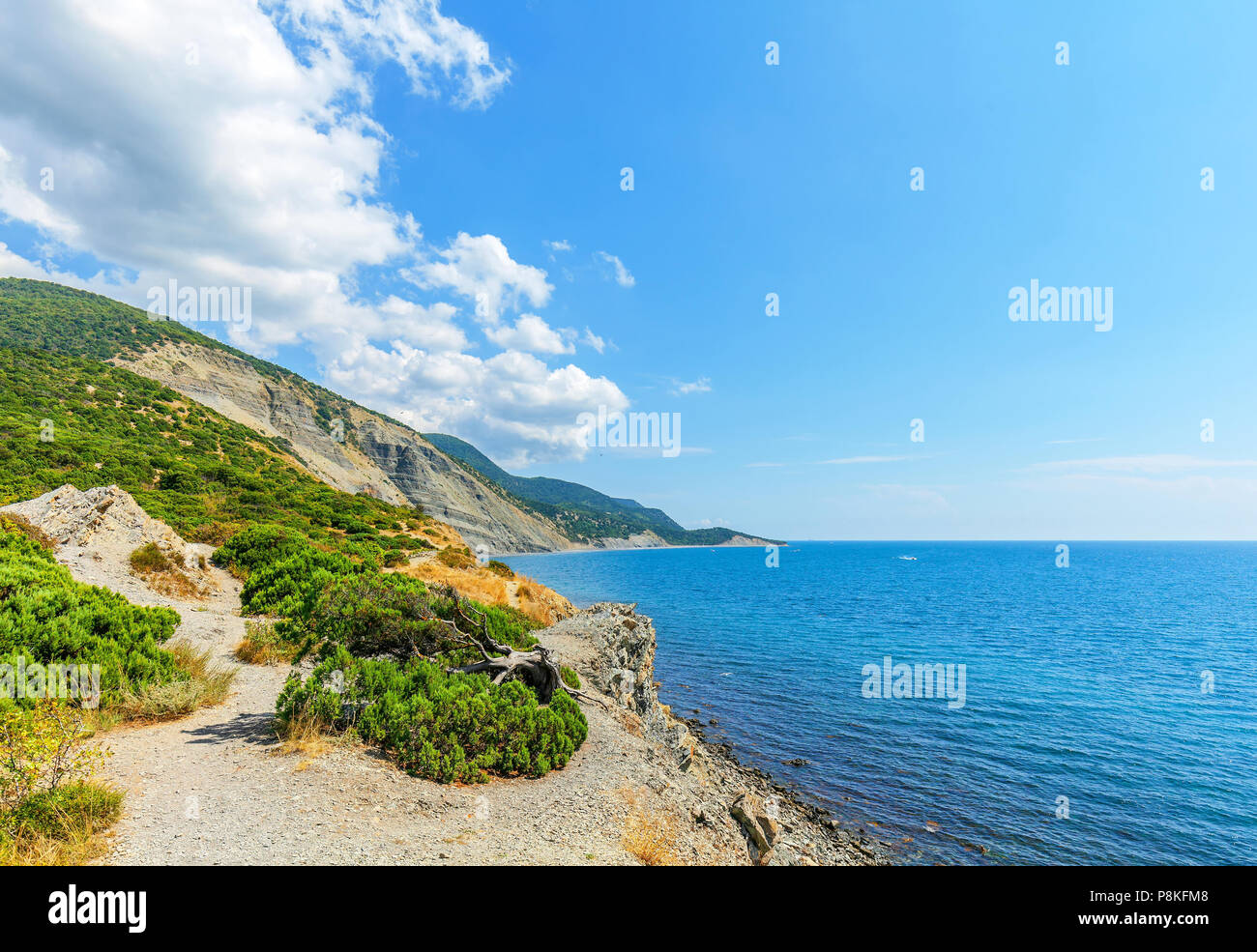 Riserva di ginepro sulla costa del Mar Nero vicino al Grande Utrish. Foto Stock
