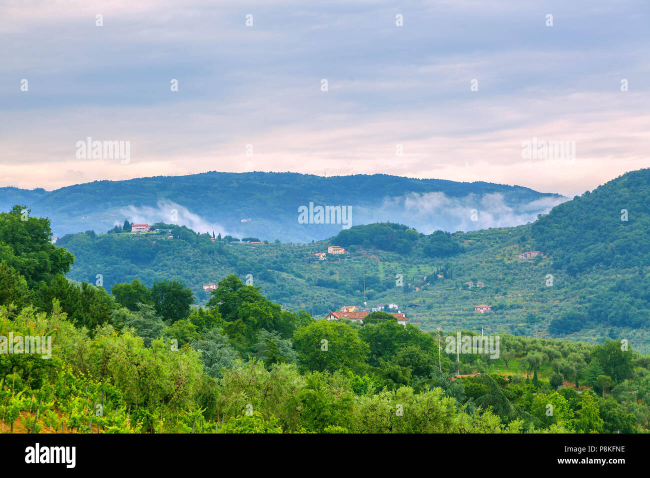 Nebbia di mattina in Toscana. Foto Stock