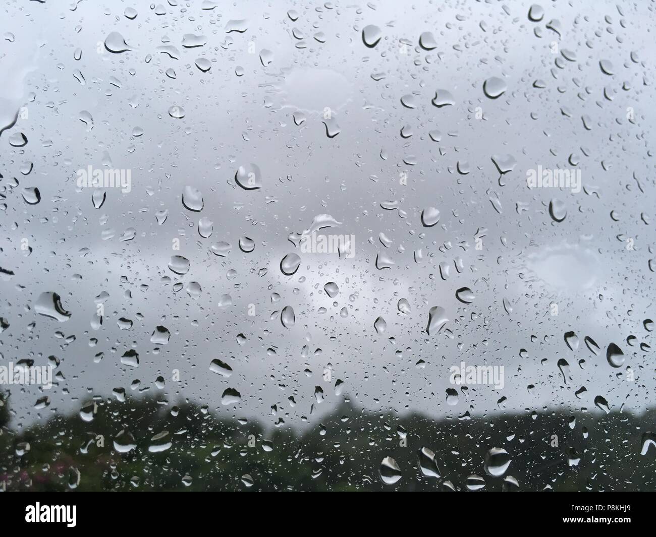 Gocce di pioggia su una finestra di vetro Foto Stock