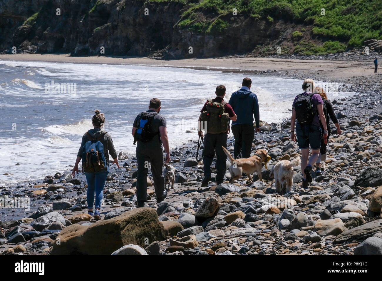 Per i turisti e la gente camminare le rocce sulla spiaggia con il cane al mare sulla baia di Runswick, North Yorkshire Heritage Coast. Foto Stock